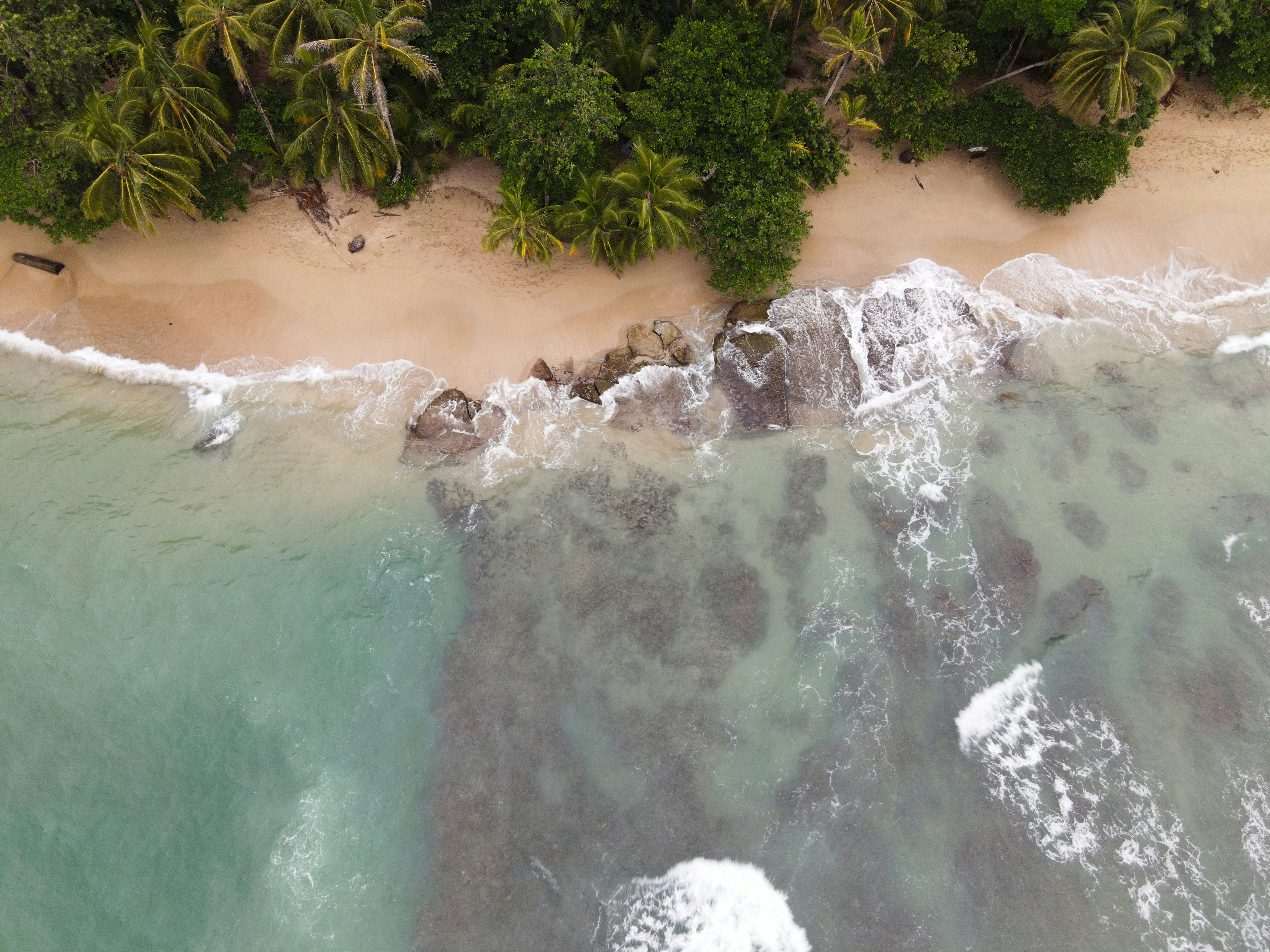 Caribe